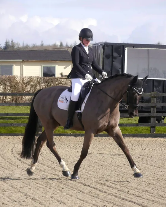 Amanda riding Michelangelo, a dark dun horse, in trot in an outdoor arena