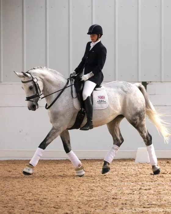 Amanda riding Ruby Rose II, a grey mare, in an indoor arena with a Union Flag saddle pad