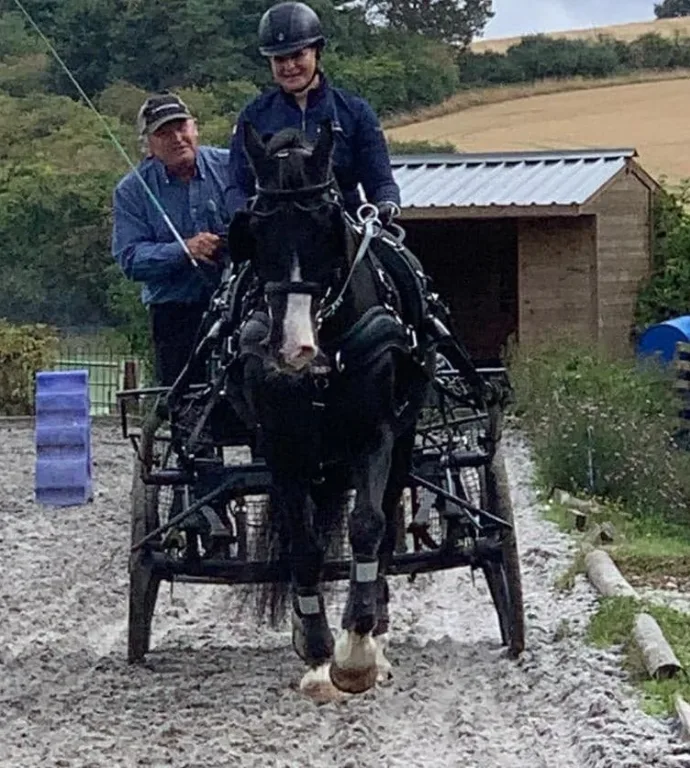 Amanda driving a black horse and carriage in training with a groom alongside
