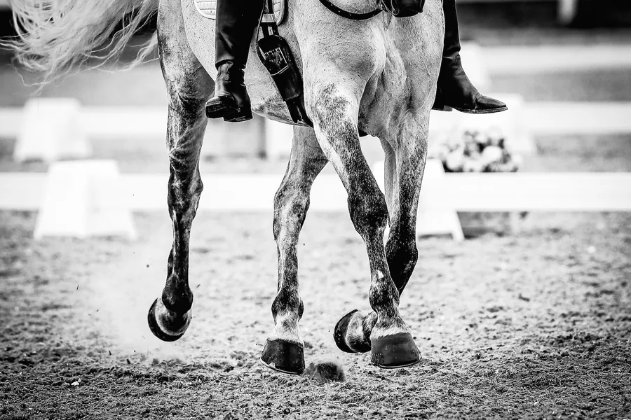 Black and white close-up of a grey horse's legs in trot on an arena surface