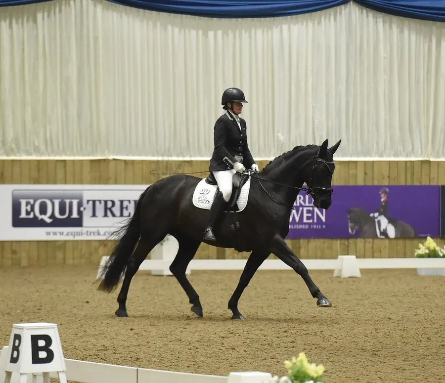 Addington Equestrian: Winter Regional Champion, Novice Gold Freestyle to Music