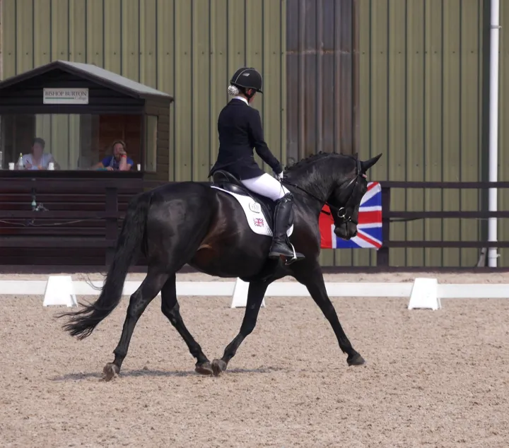 Amanda riding a black horse in extended trot with a Great Britain saddlecloth