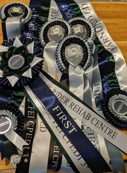Bishop Burton FEI CPEDI3* rosettes and sashes, including a sash reading First