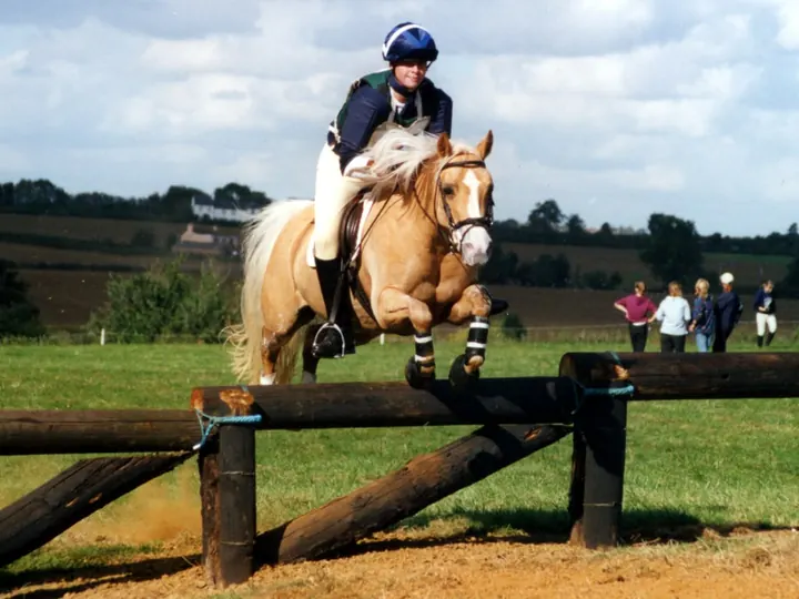 Amanda jumping a log fence on her palomino, Miden Moondancer