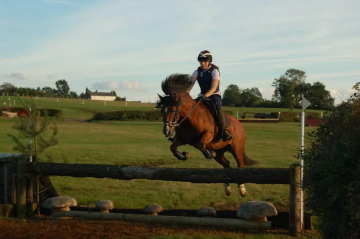 Amanda jumping a cross-country fence on her brown horse, Oakvale Trysor