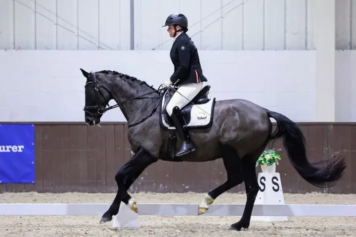 Amanda riding a dark horse in extended trot in an indoor dressage arena
