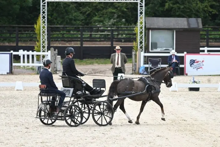 Amanda driving Ranger in a sand arena with a judge’s box behind