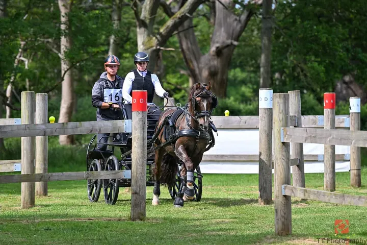Amanda driving through a wooden marathon hazard, her back-stepper behind her
