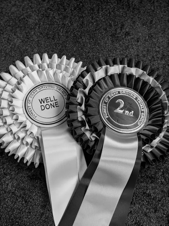 Black and white photo of two rosettes, one reading Well Done and one 2nd