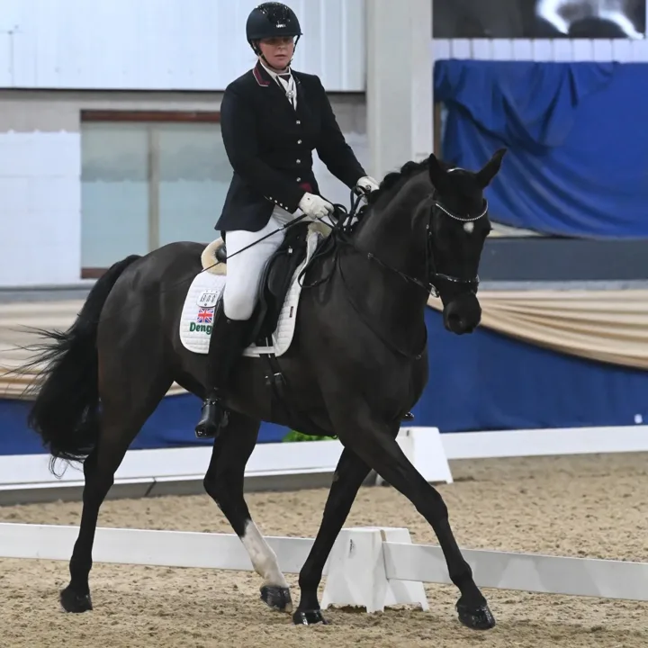 Amanda in GB show jacket riding the black mare Hermione in an indoor arena
