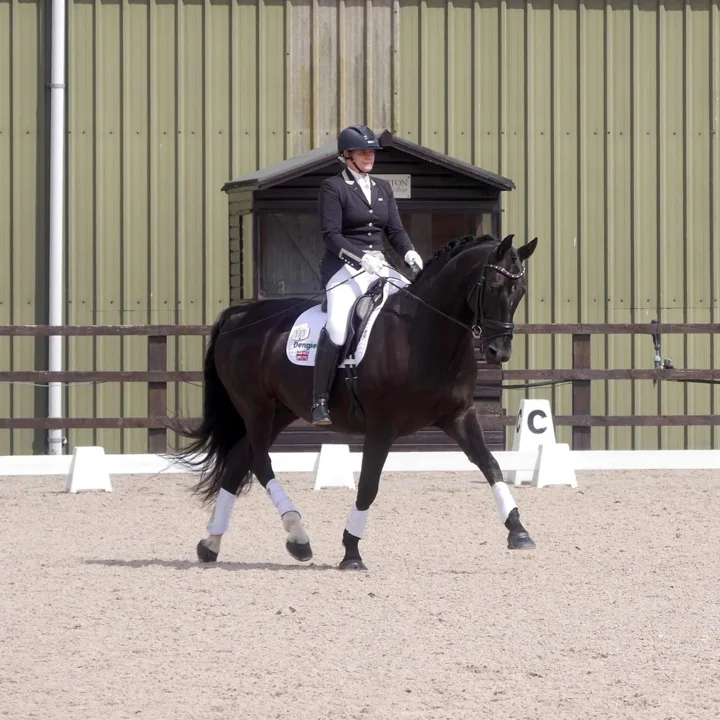Amanda in show jacket riding a dark bay gelding in an outdoor arena