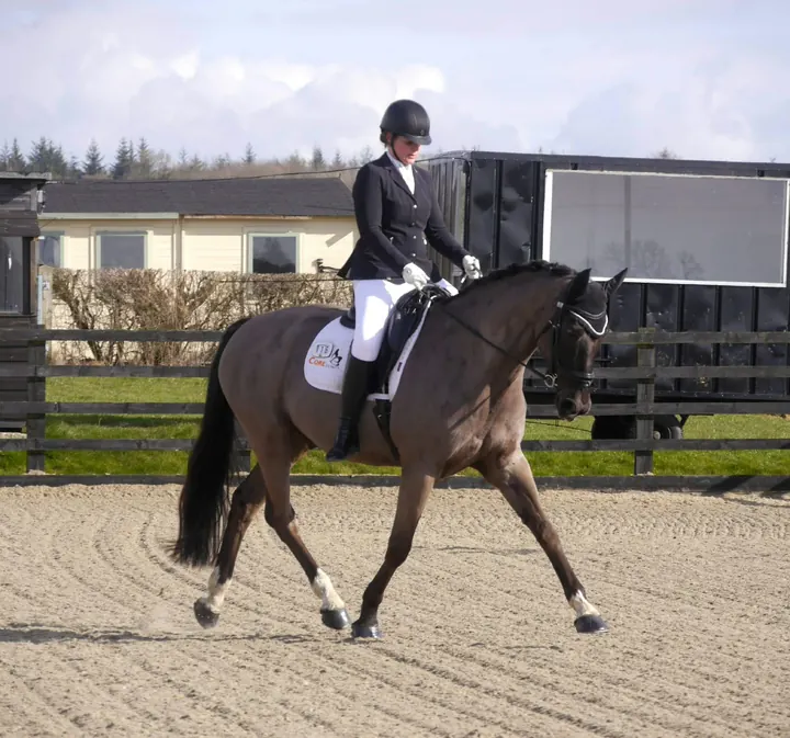 Amanda riding Michelangelo, a dark dun horse, in trot in an outdoor arena