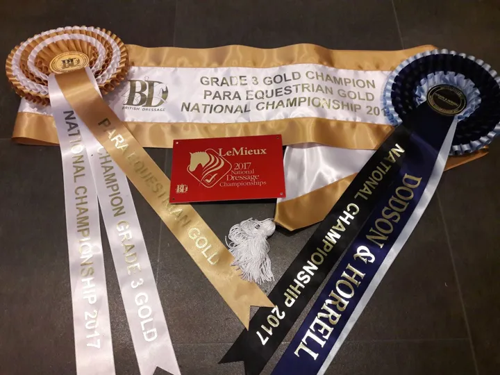 British Dressage Grade 3 Gold Champion Para Equestrian Gold National Championship 2017 sash and rosettes