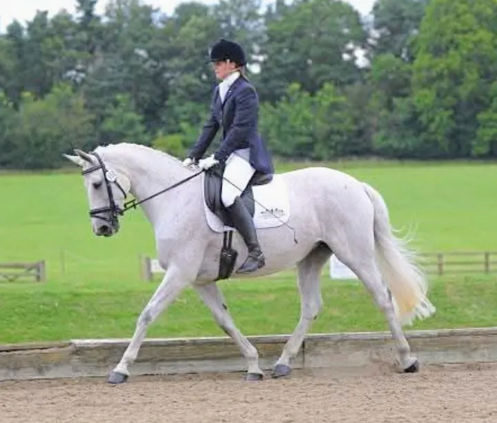 Amanda riding the grey mare Run of the Mill in trot in an outdoor arena