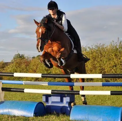 Amanda jumping a coloured show jump on her brown horse, Oakvale Trysor