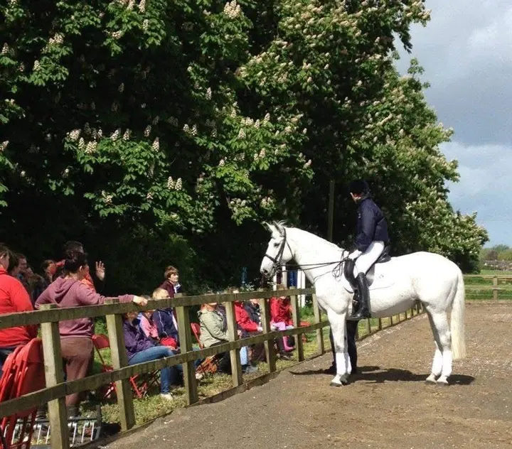 Amanda on a grey horse talking to a crowd along the fence of an outdoor arena