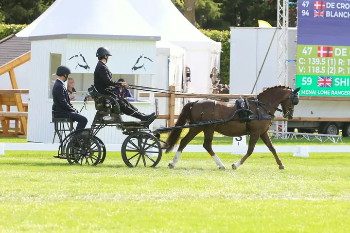 Amanda driving Ranger in the dressage arena at the 2025 World Championships, the scoreboard showing Menai Lone Ranger