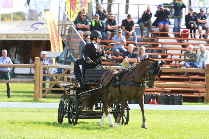Amanda driving Ranger in the dressage arena at the 2025 World Championships, spectators in the stand behind
